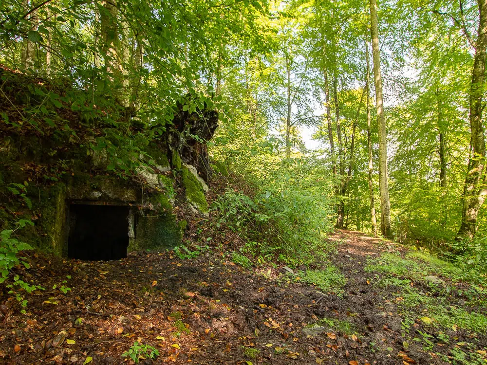entrée de la grotte d'artigaléou